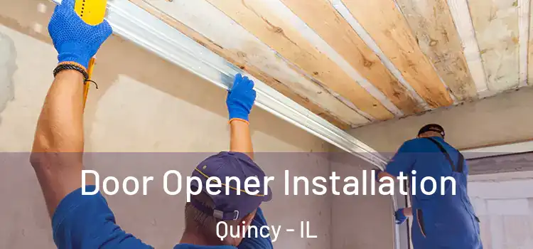 Door Opener Installation Quincy - IL