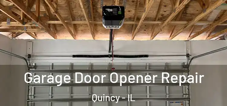  Garage Door Opener Repair Quincy - IL