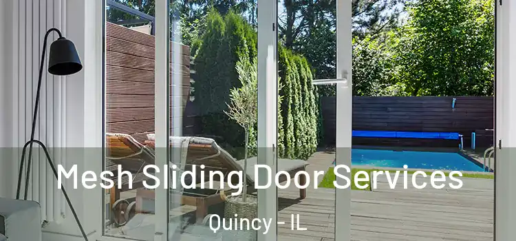 Mesh Sliding Door Services Quincy - IL