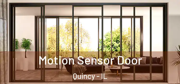 Motion Sensor Door Quincy - IL