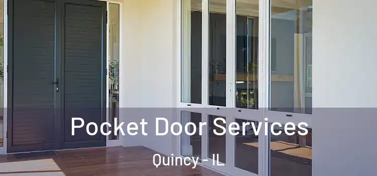 Pocket Door Services Quincy - IL