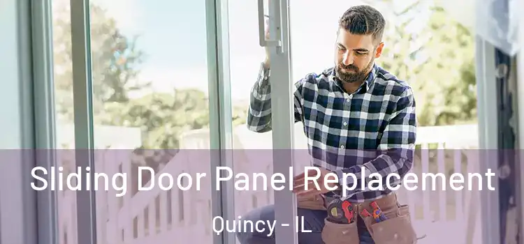  Sliding Door Panel Replacement Quincy - IL